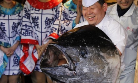 Historically expensive tuna
