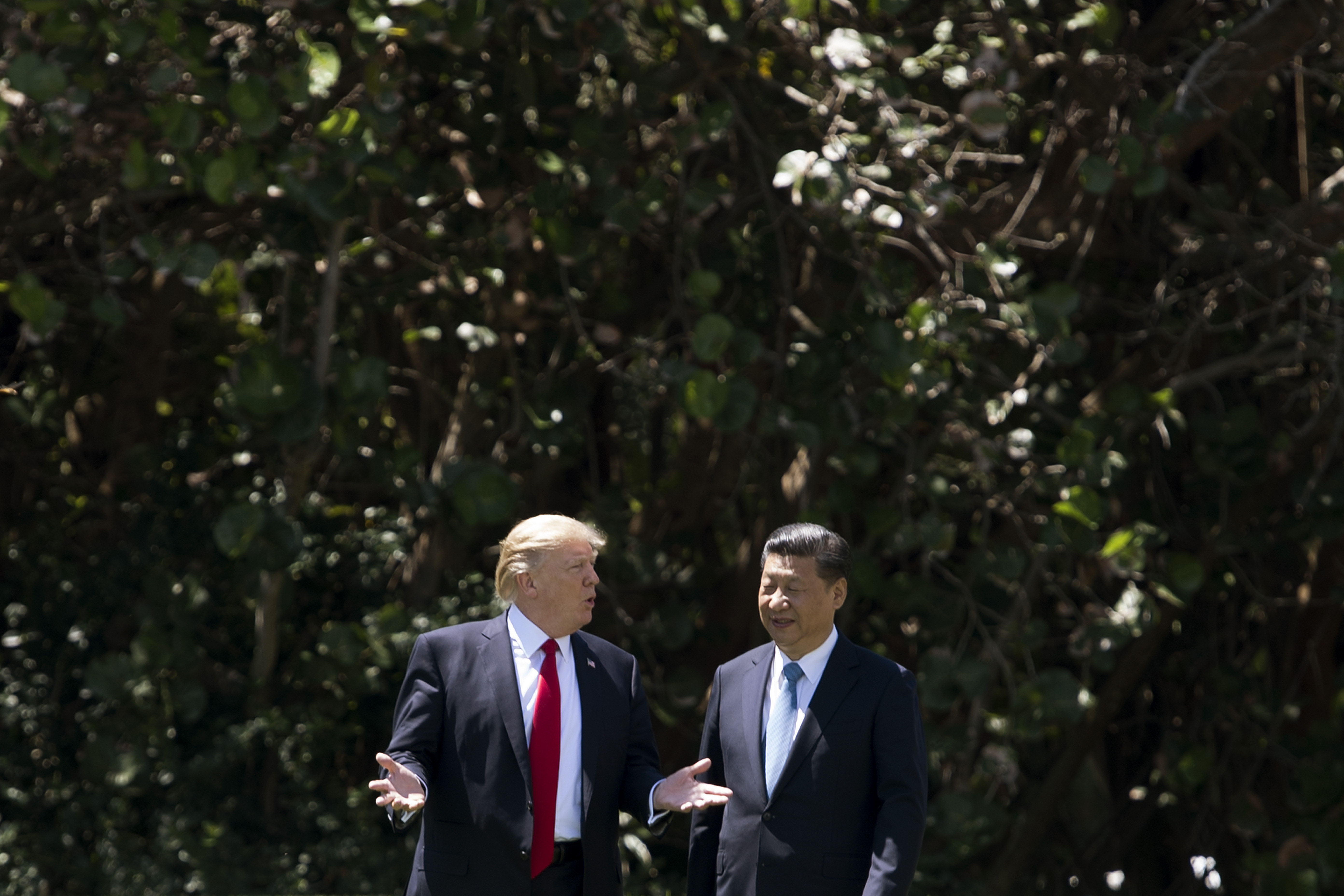 Donald Trump gets friendly with Chinese President Xi Jinping at Mar-a-Lago