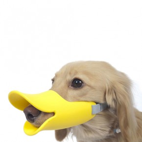 Duck-billed dogs