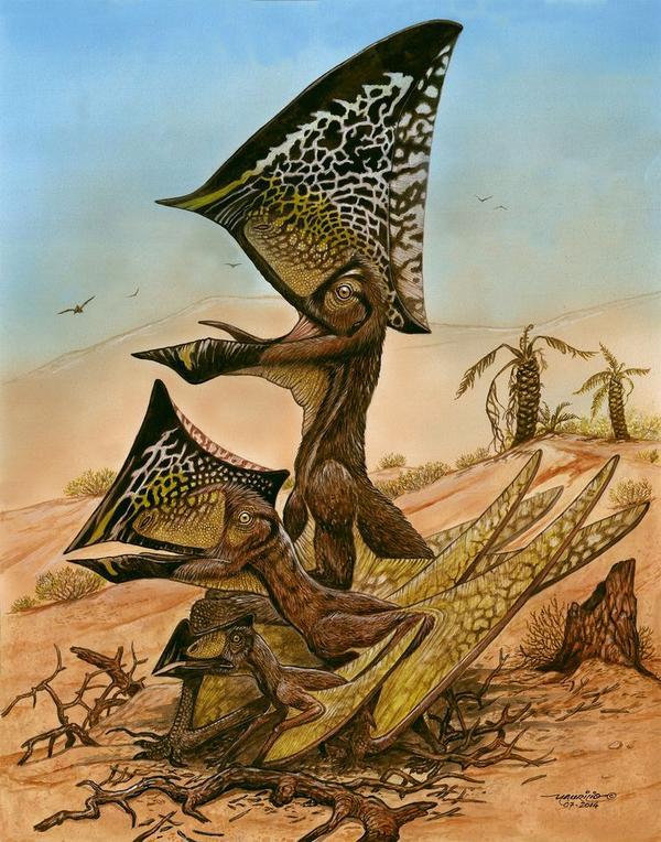 Bones of flying reptile with butterfly-like head found in Brazil
