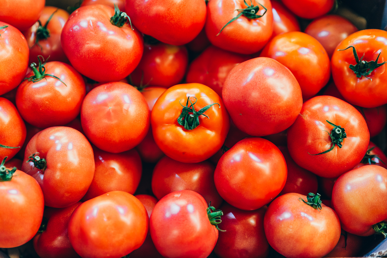 Tomatoes. 