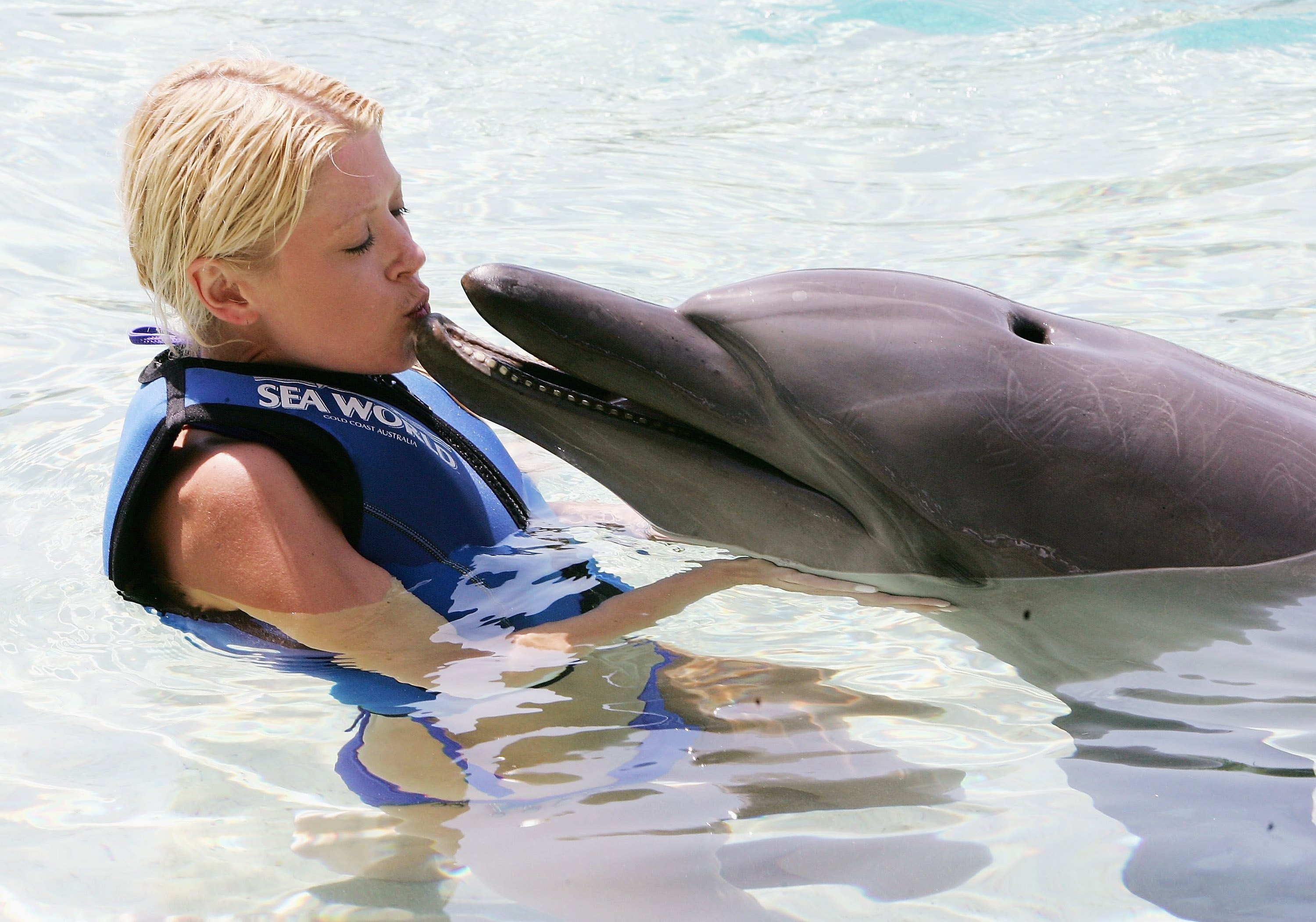 Dolphin at SeaWorld bites 9-year-old, prompts outcry from PETA
