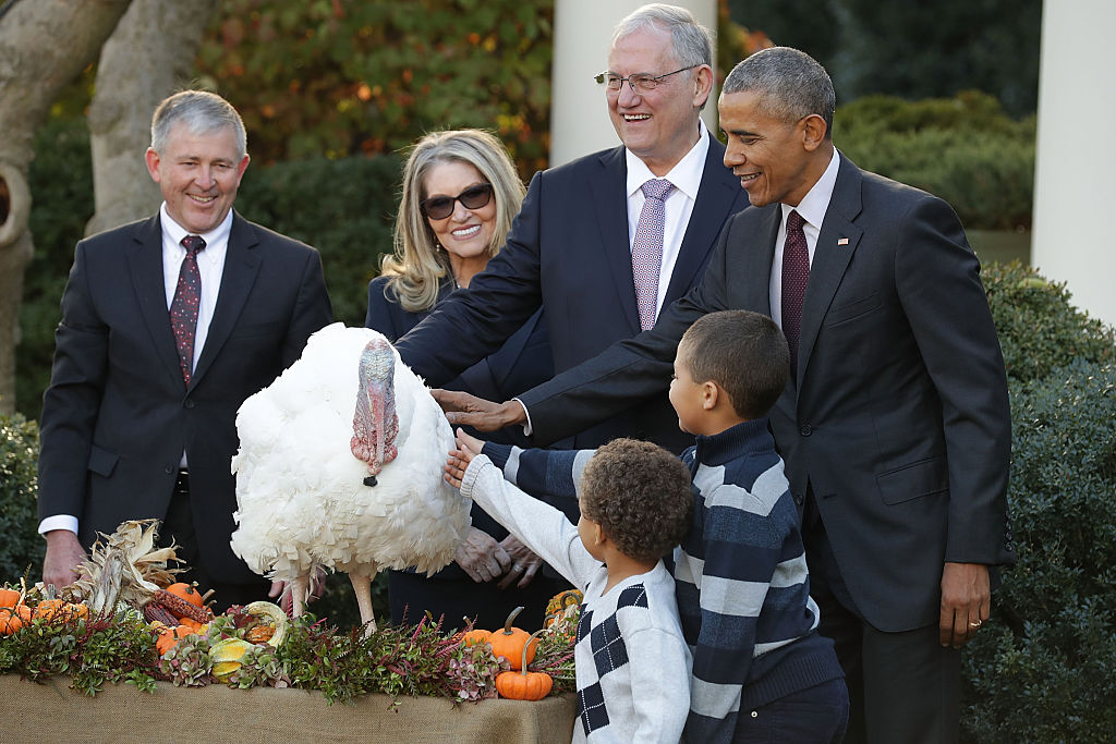 President Obama pardons the National Thanksgiving Turkey, &#039;Tot,&#039; with his nephews.