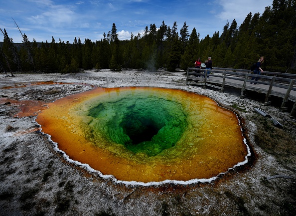 The Morning Glory hot spring in Yellowstone National Park.