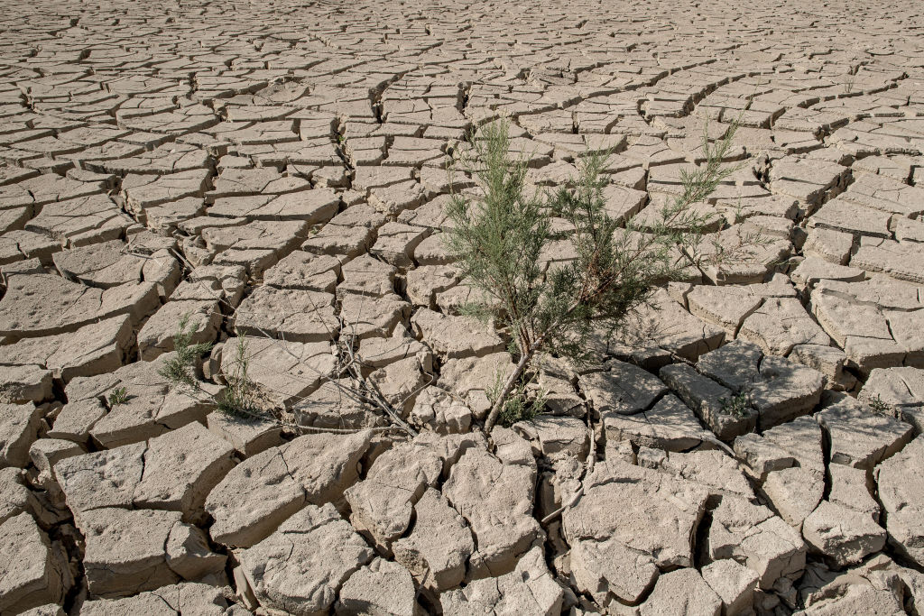 Drought in Spain attributed to climate change