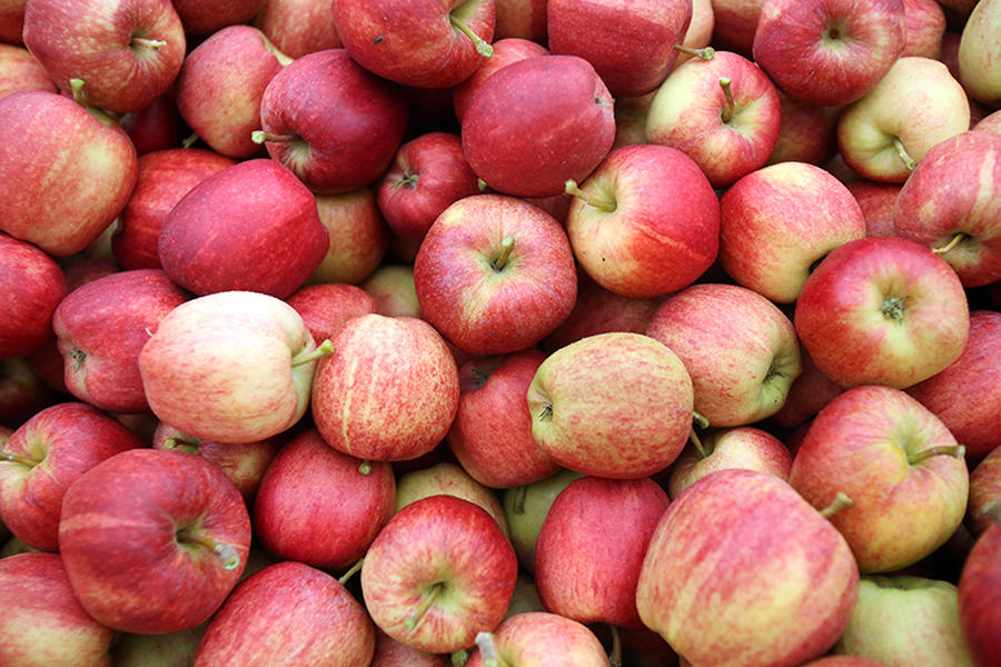 Science says an apple a day could improve women&#039;s sex lives