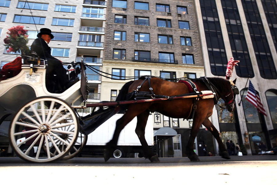 NYC Council considers ban on horse-drawn carriages