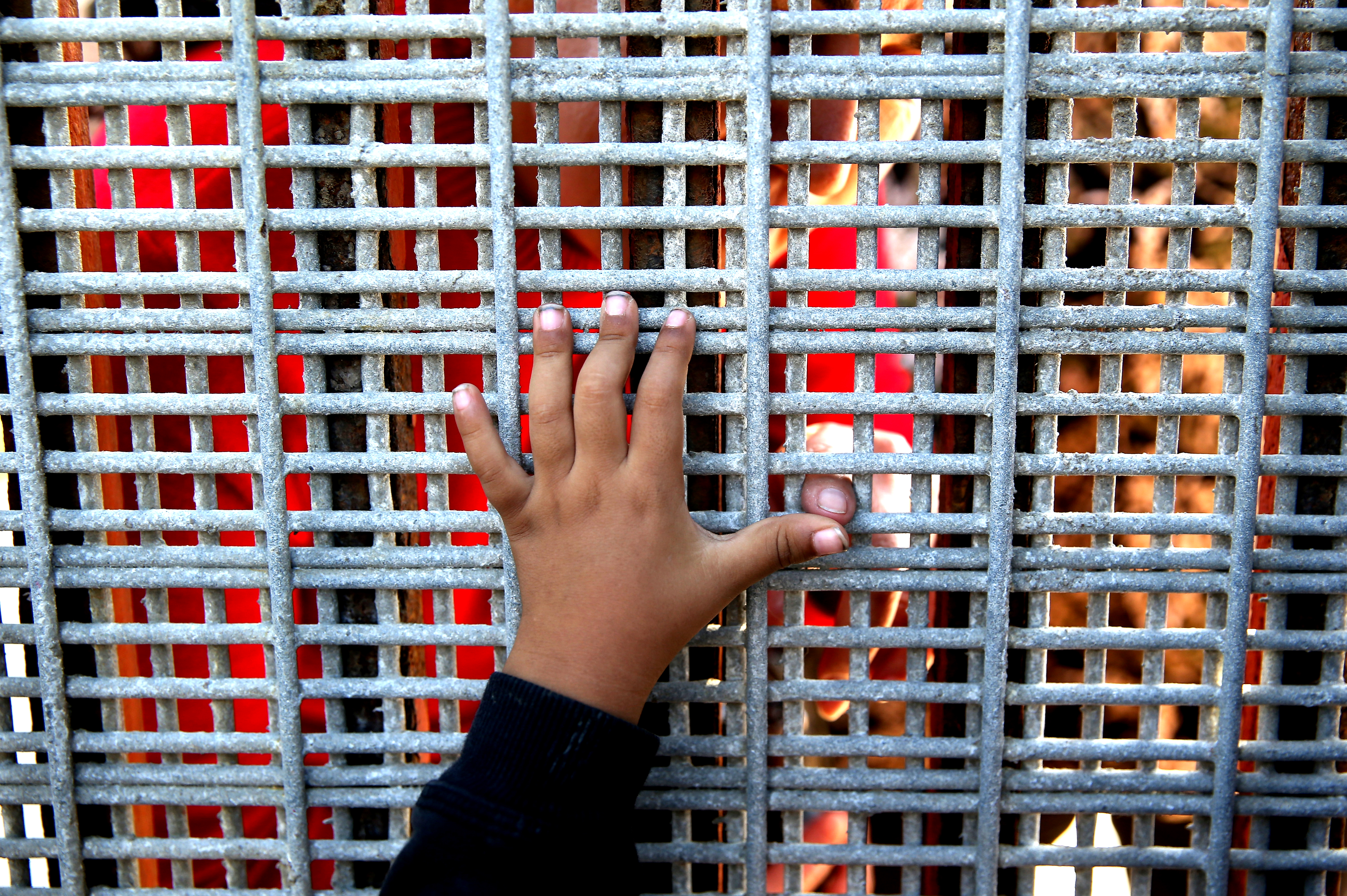A child reaching for a San Diego border fence.