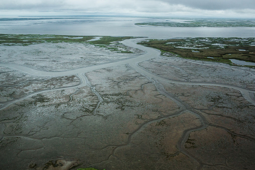 The marshy, tundra landscape surrounding Newtok, Alaska. 
