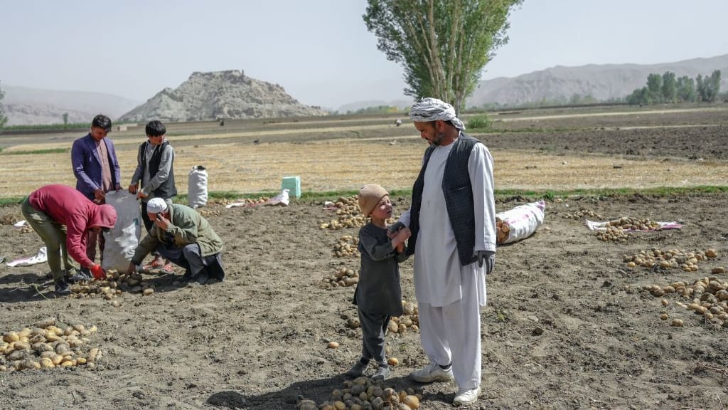 Farmers in Afghanistan.
