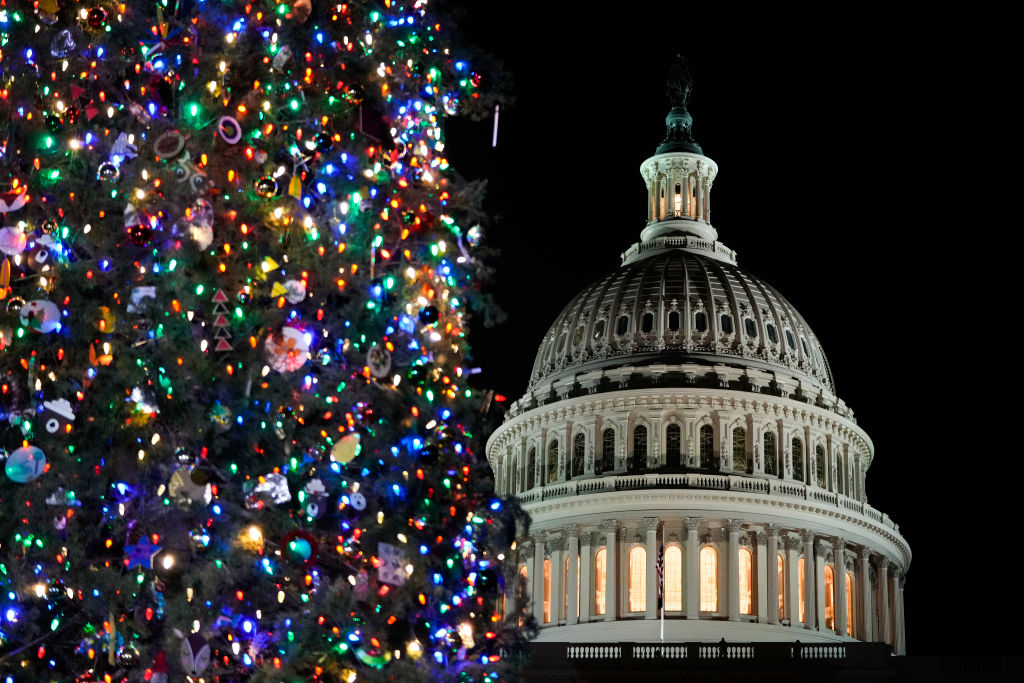 Capitol building and christmas tree.