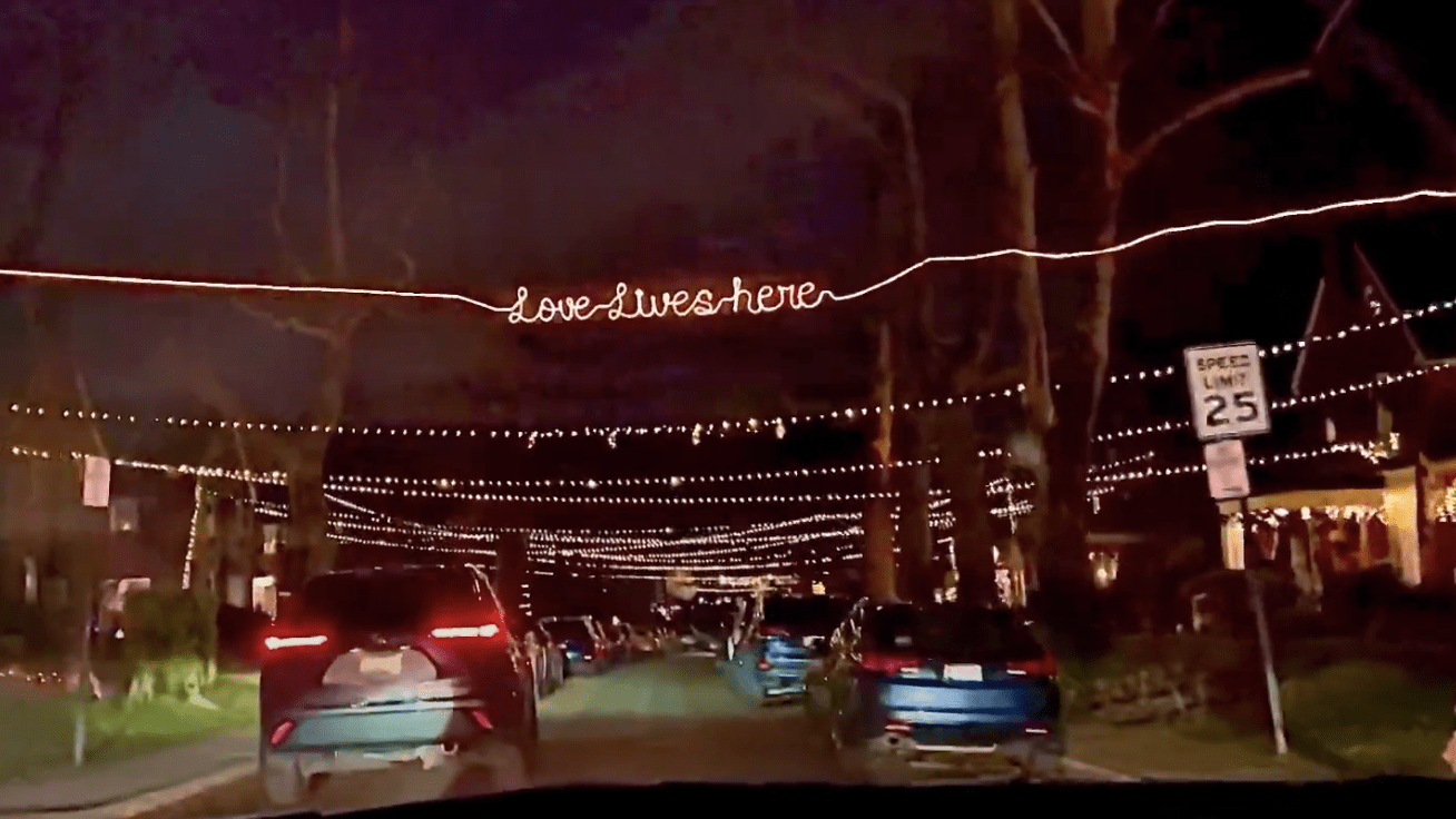 The Christmas lights in Rodgers Forge, Maryland.