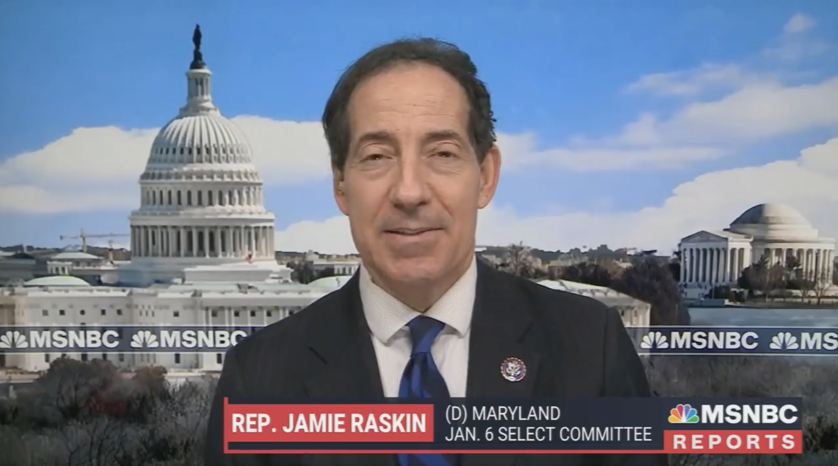 Rep. Jamie Raskin (D-Md.) on MSNBC.
