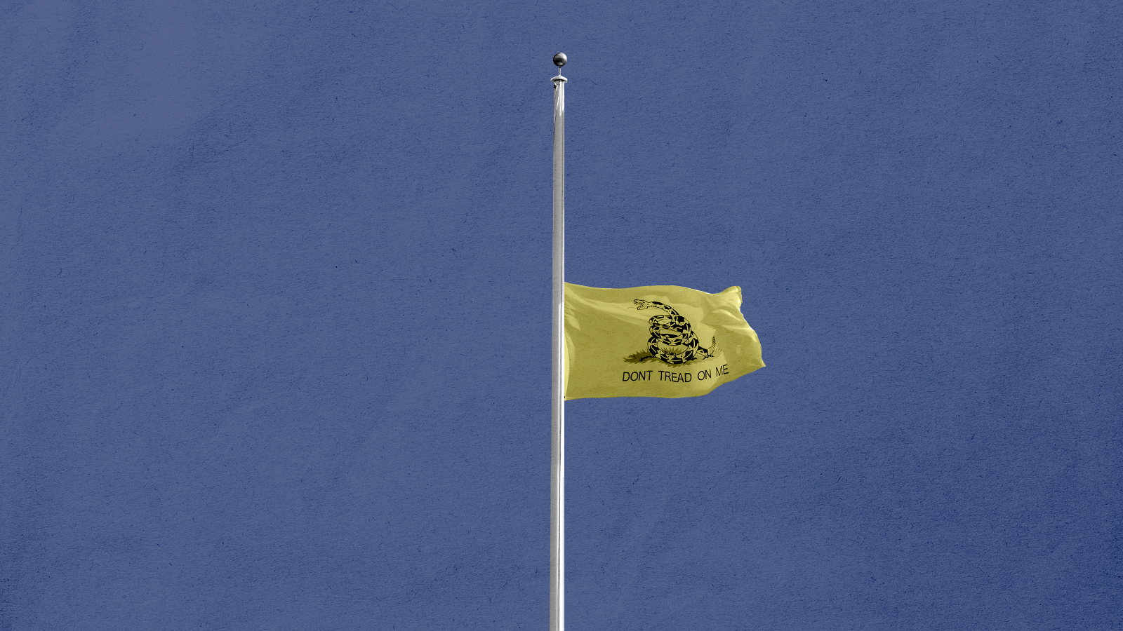 The Gadsden flag.