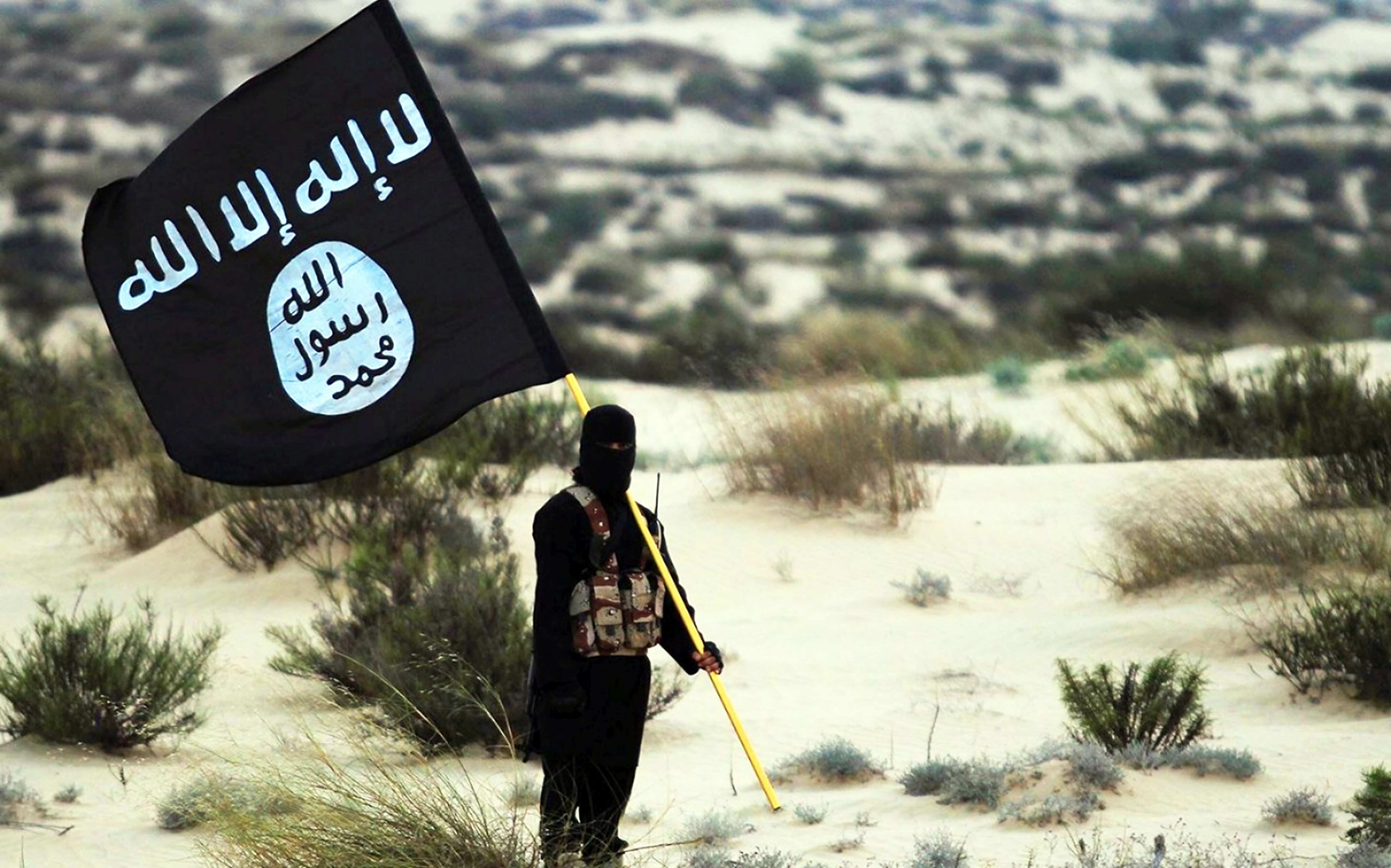 A militant is seen holding the flag of ISIS in 2015. 