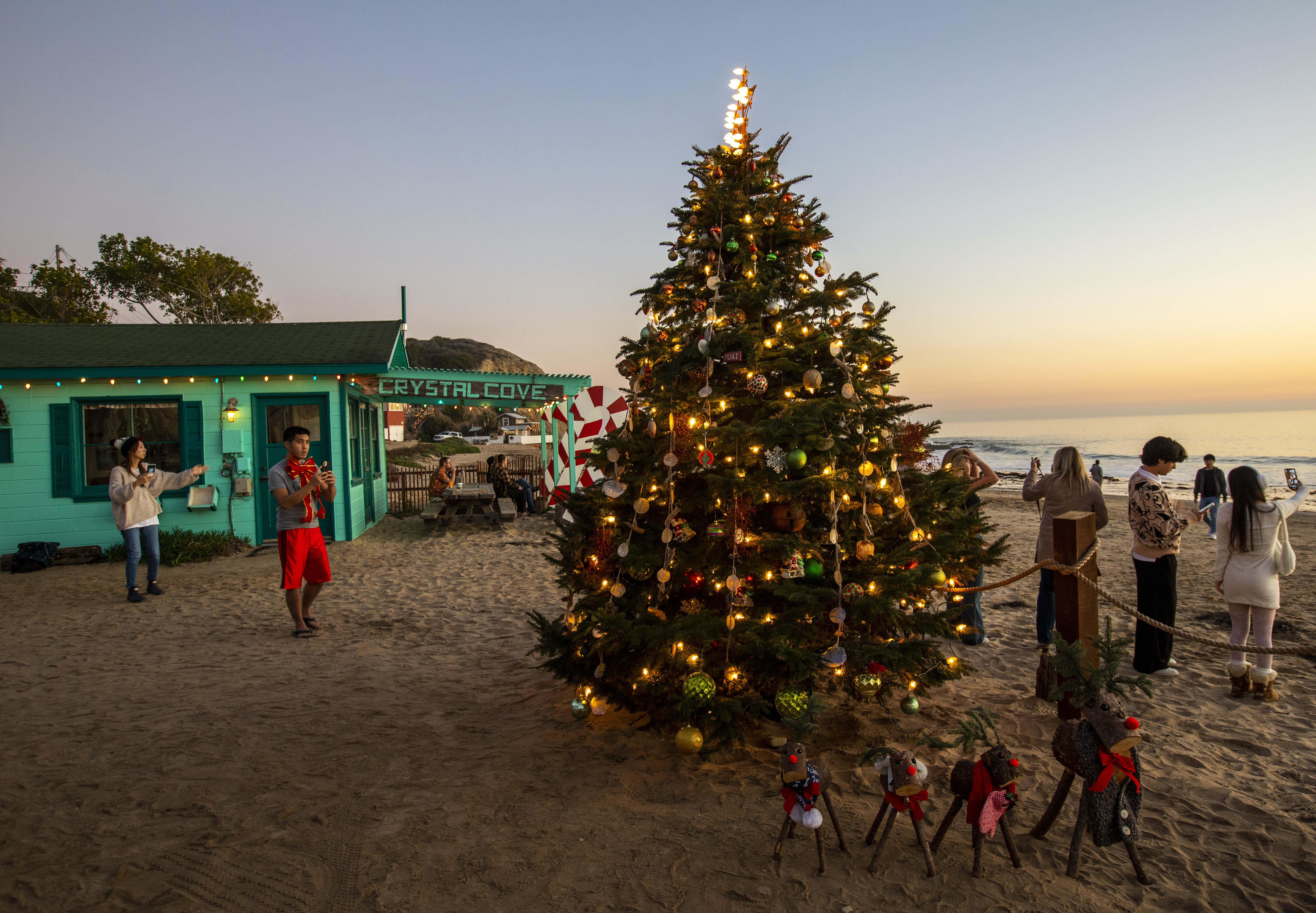 A Christmas tree on the beach in Newport Beach, California. 
