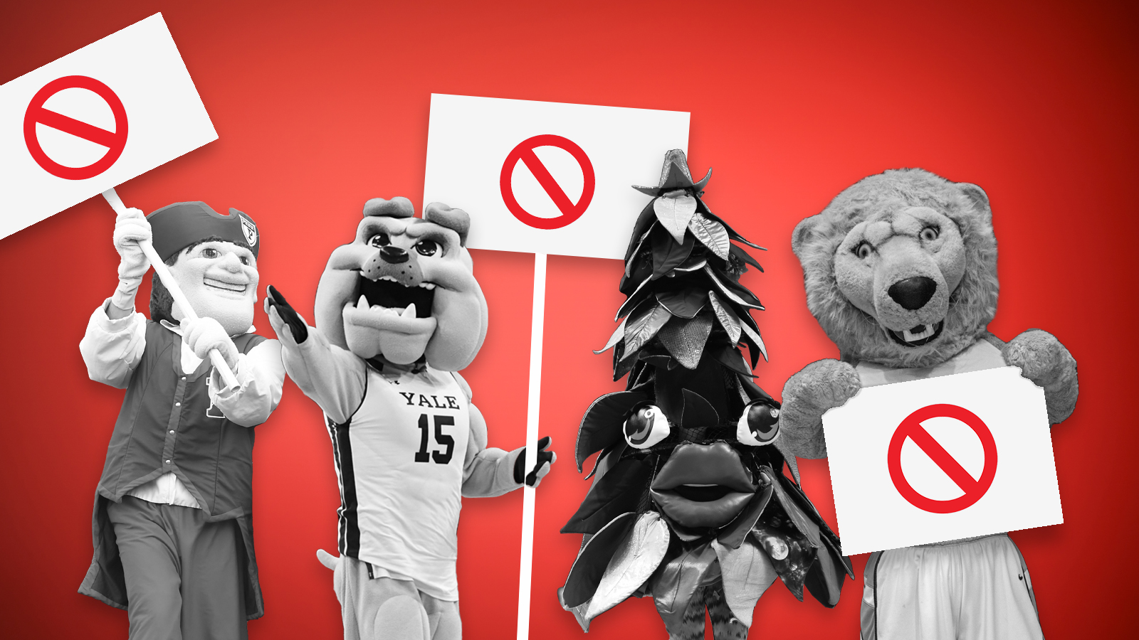 University mascots.
