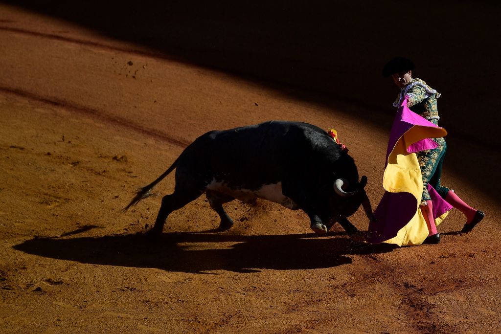 A bullfighter.