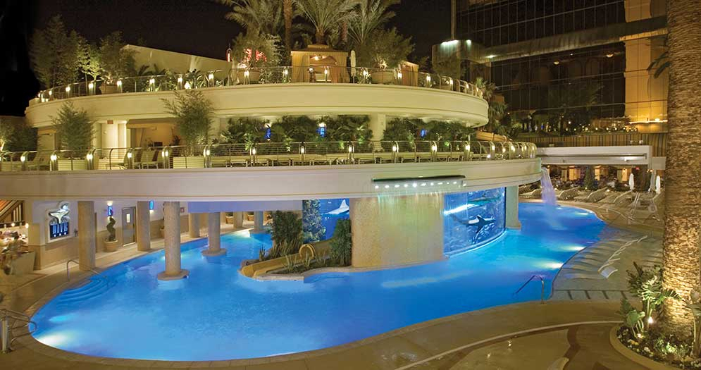 The Tank pool at the Golden Nugget 