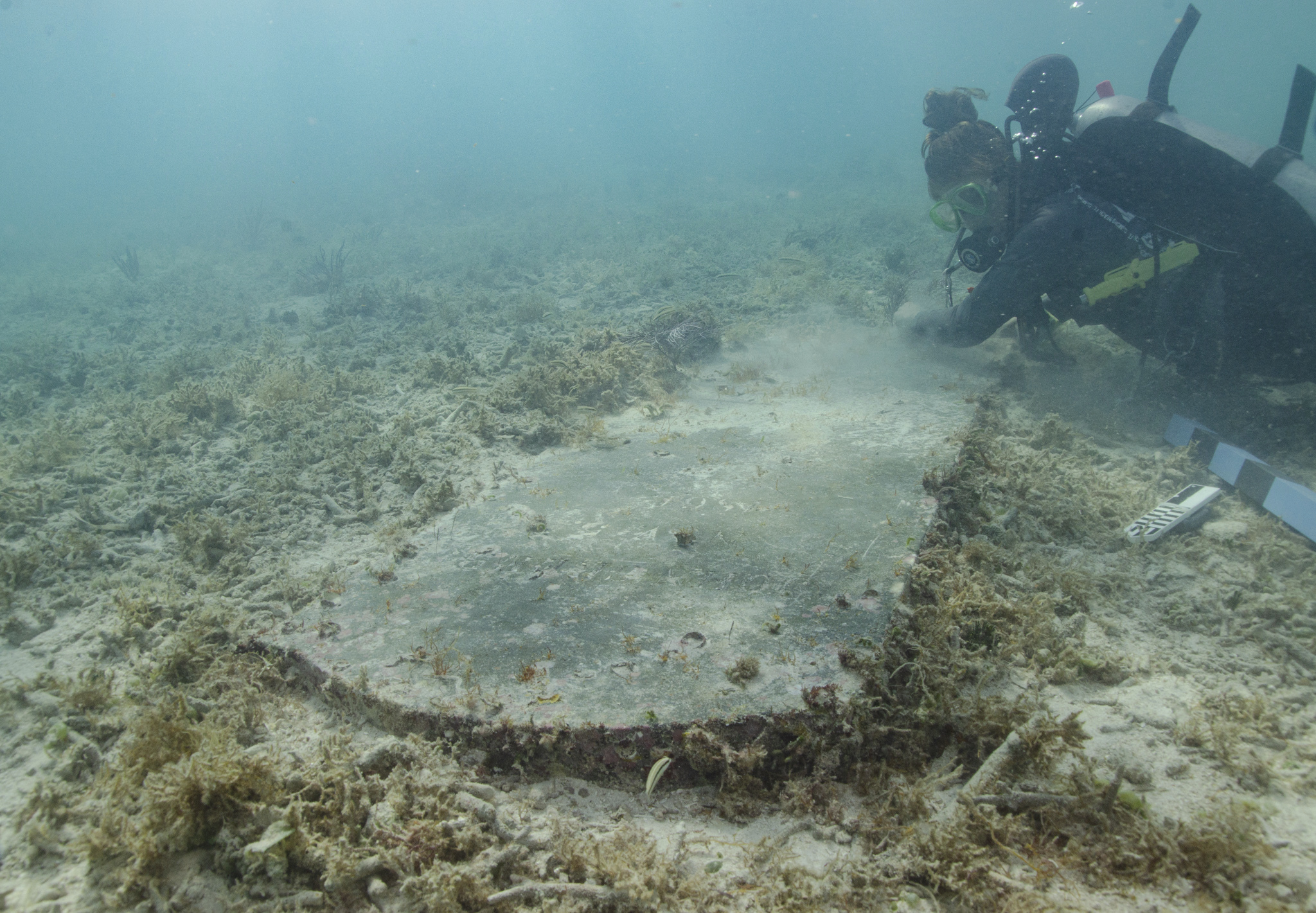 Diver examining submerged tombstone