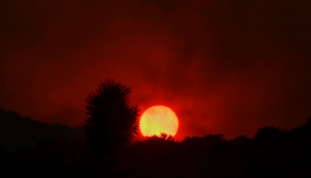 Mojave desert sunset. 