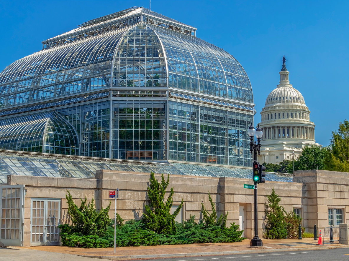 U.S. Capitol and Botanical Gardens