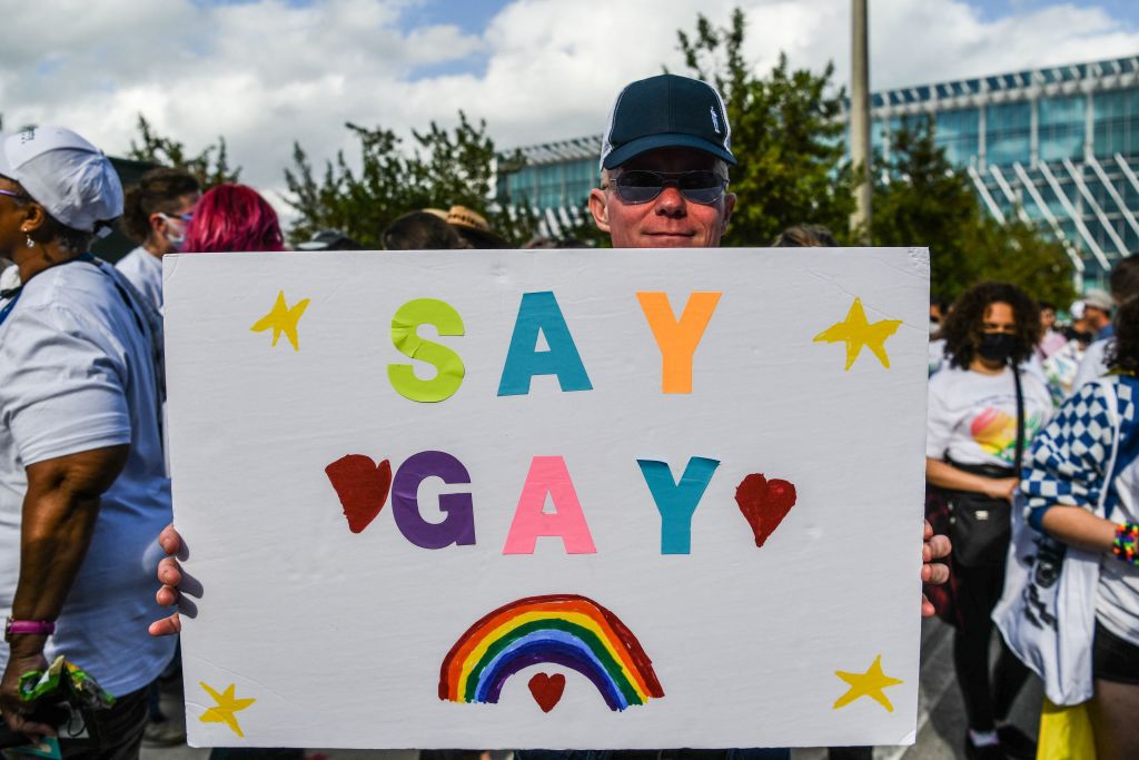 Protester holding a sign that reads &quot;Say Gay&quot;