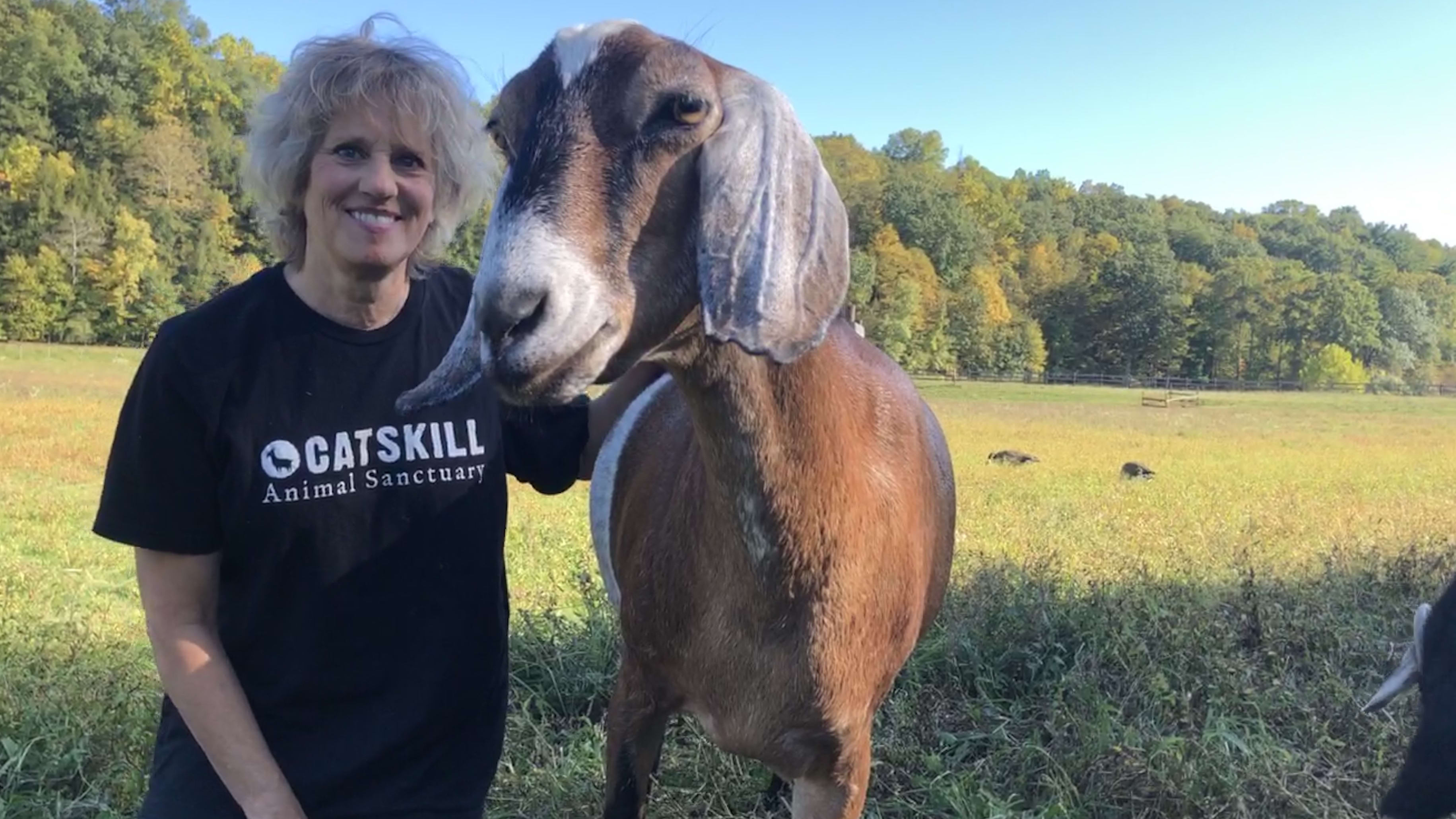 Kathy Stevens with Hermione the goat.