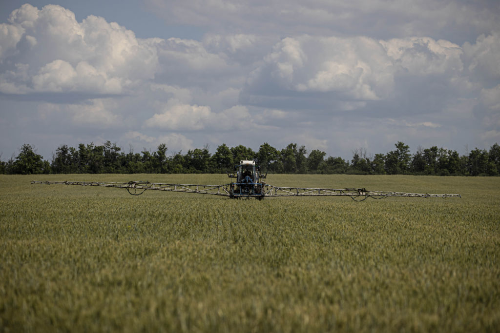 Wheat farm in Ukraine