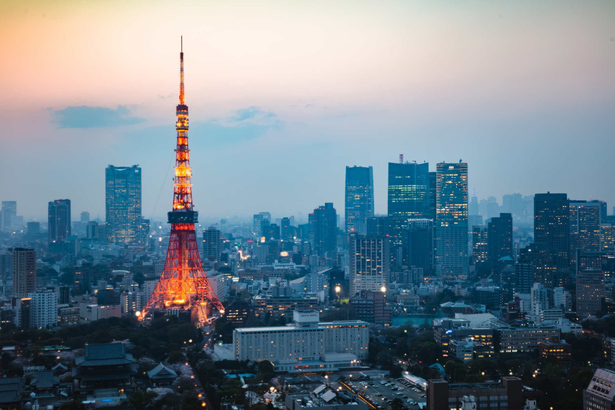 Tokyo tower and downtown district at dusk
