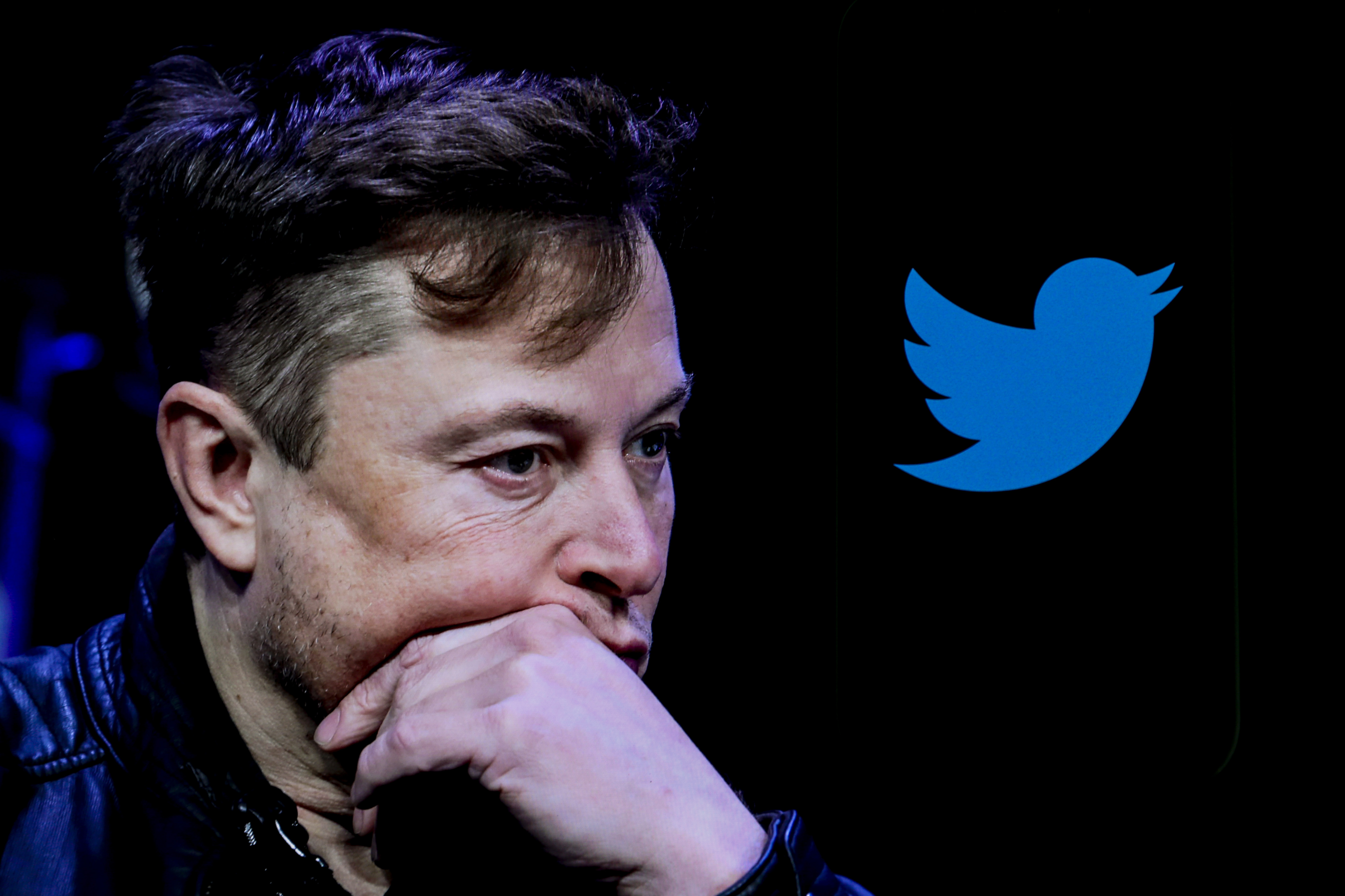 Twitter owner Elon Musk seen in a photo illustration. 