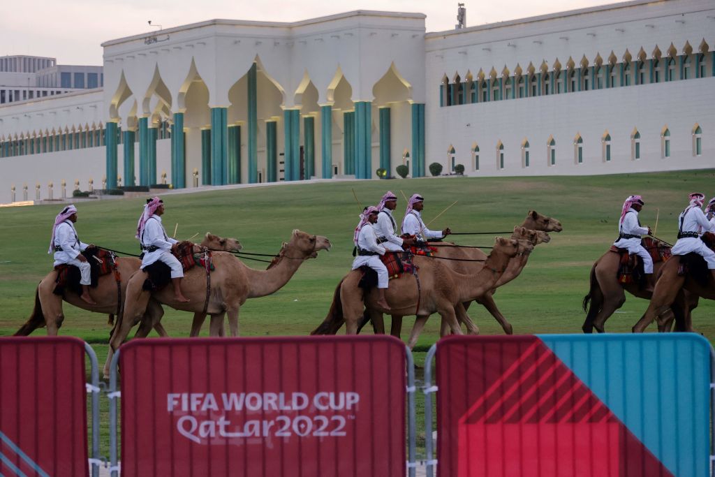 Camels at Qatar World Cup