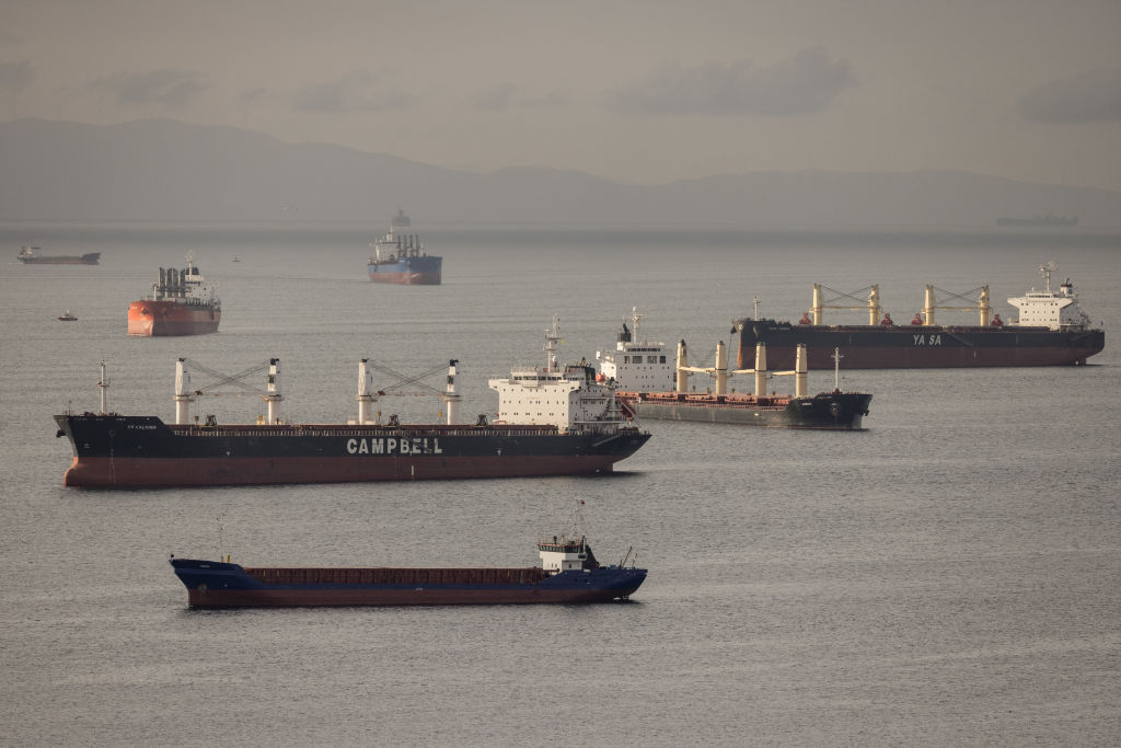 Grain ships anchored off the coast of Istanbul, Turkey. 