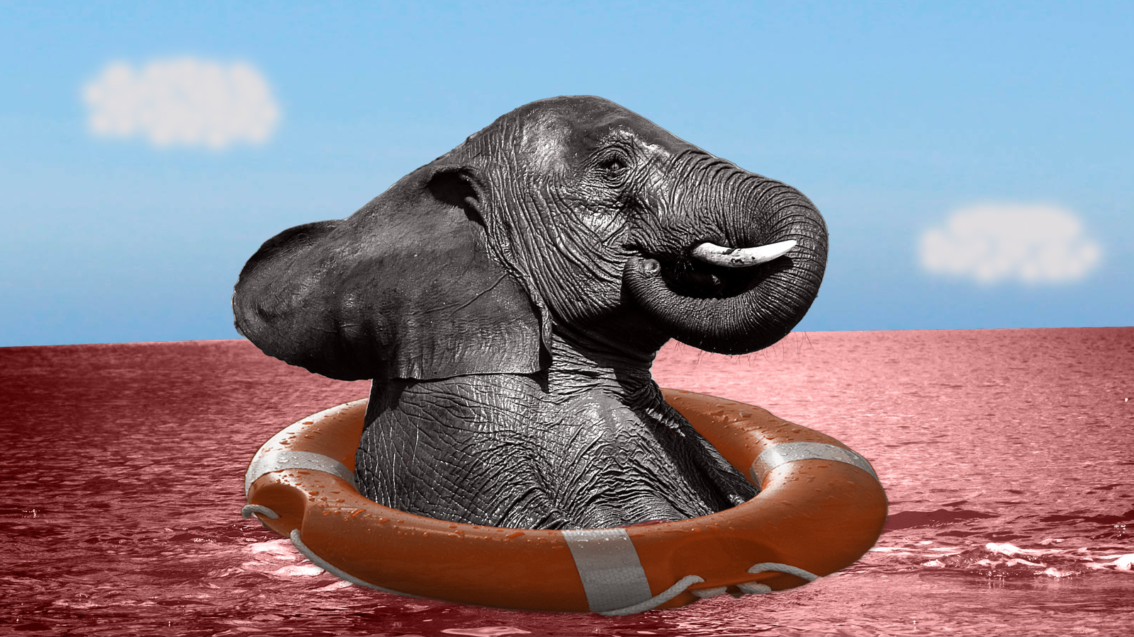 Elephant in red water 