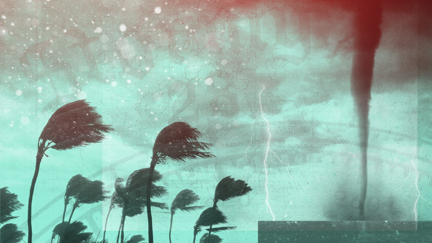 An illustration of a tornado and wind-swept palm trees