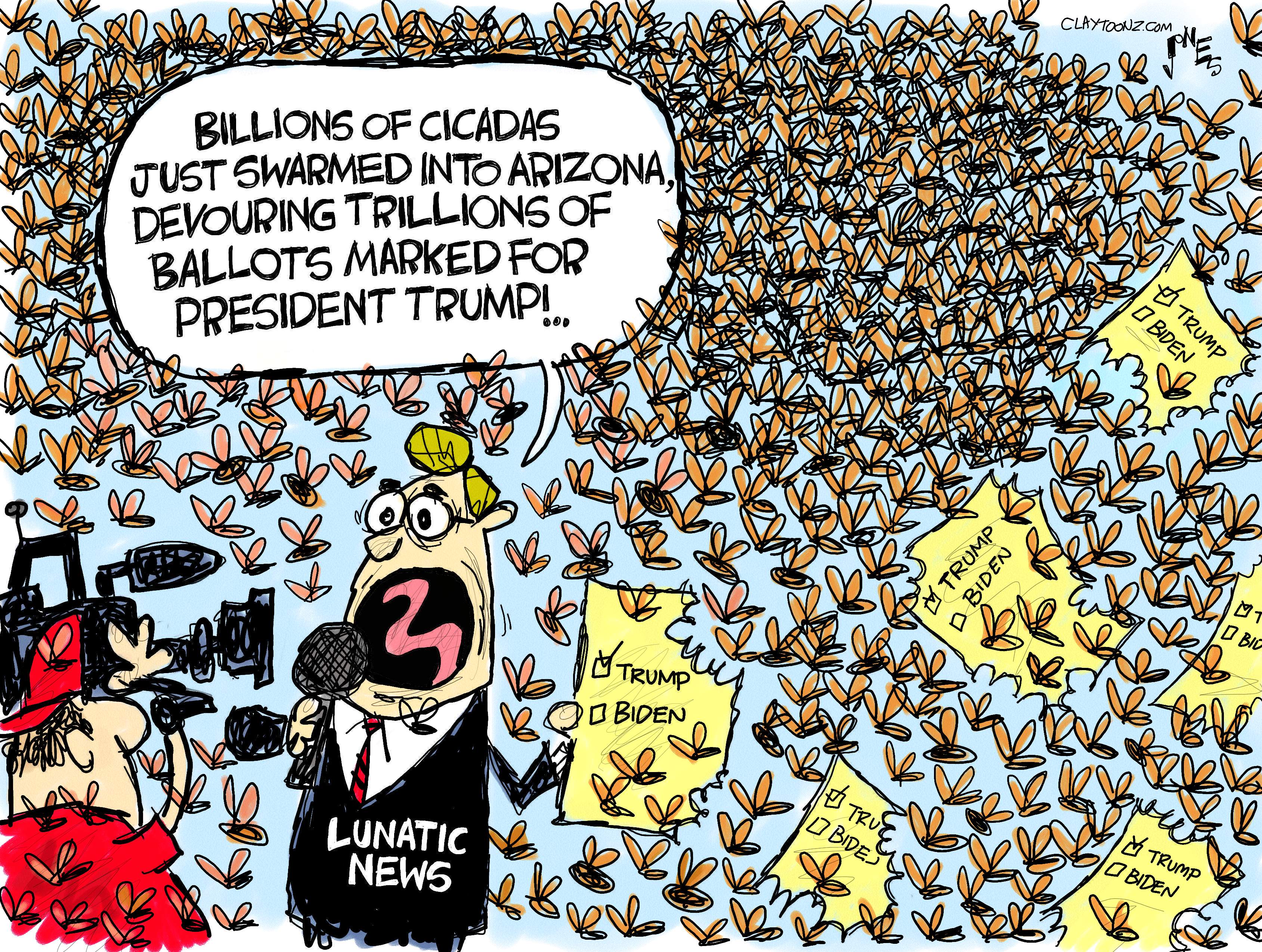 Political Cartoon U.S. trump biden cicadas arizona recount