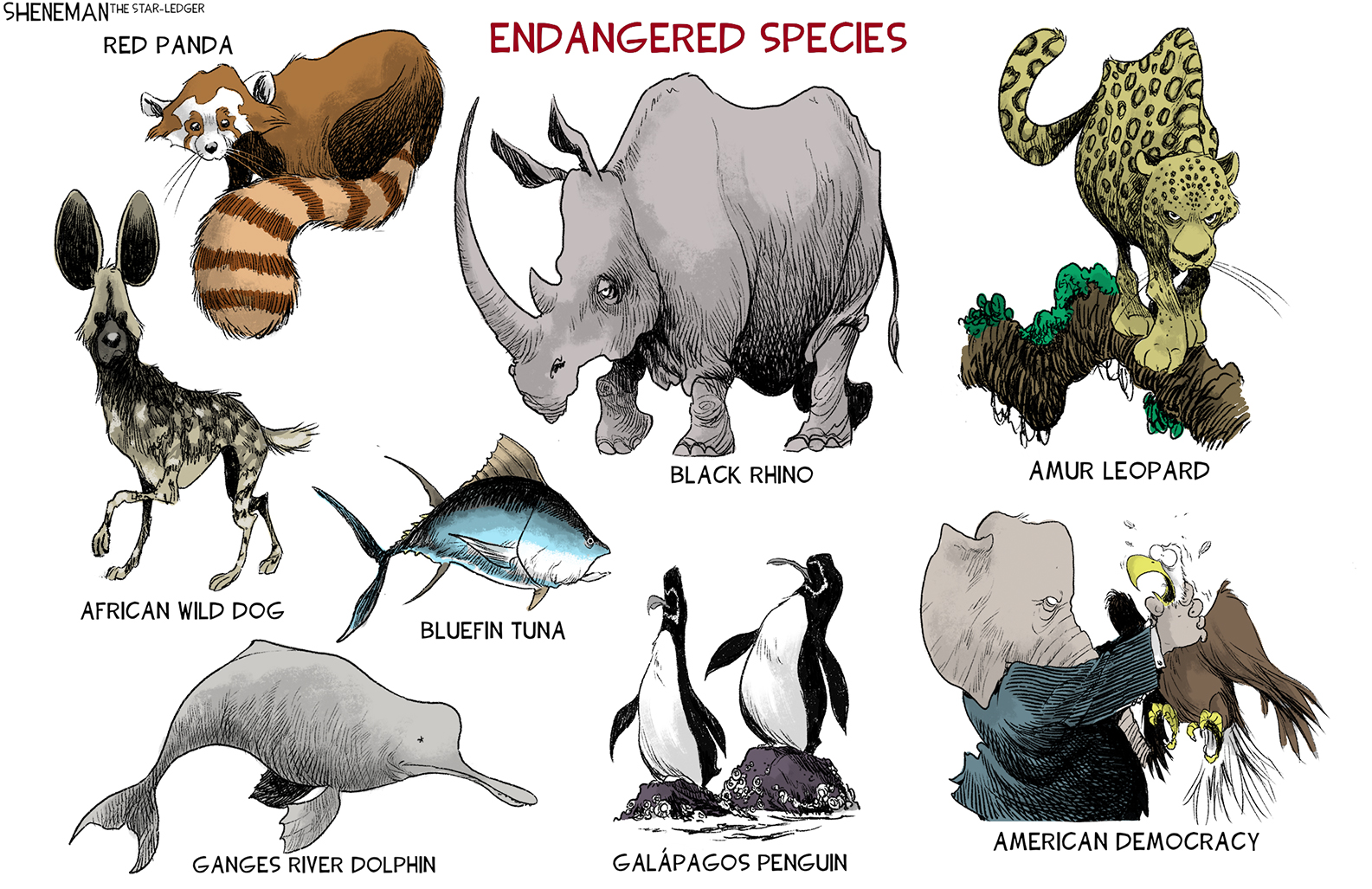 2021&#039;s endangered species
