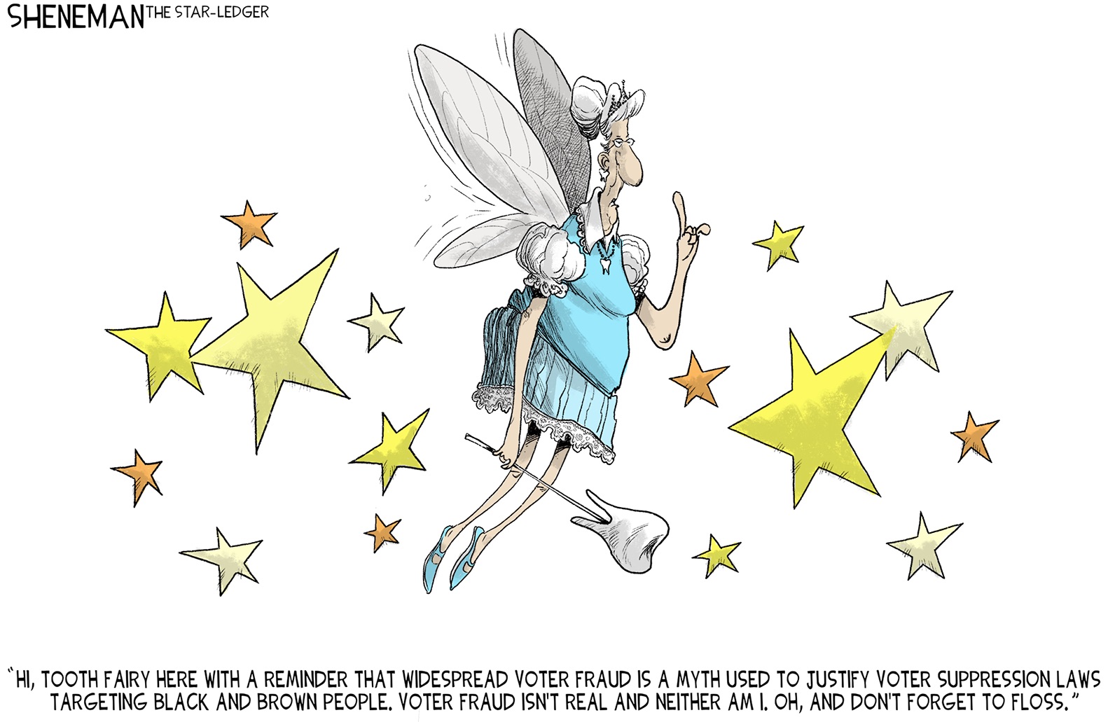 voter fraud fairy