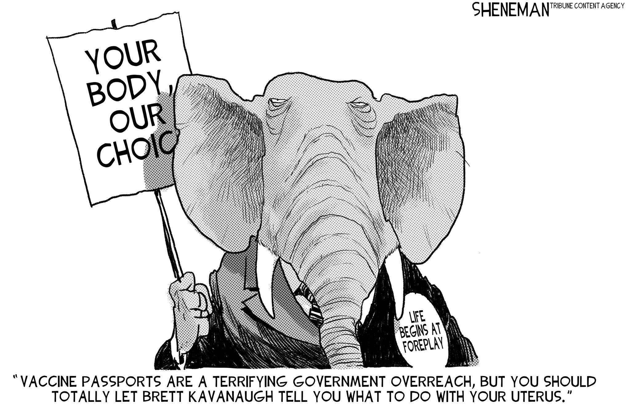 Political                                                            Cartoon.