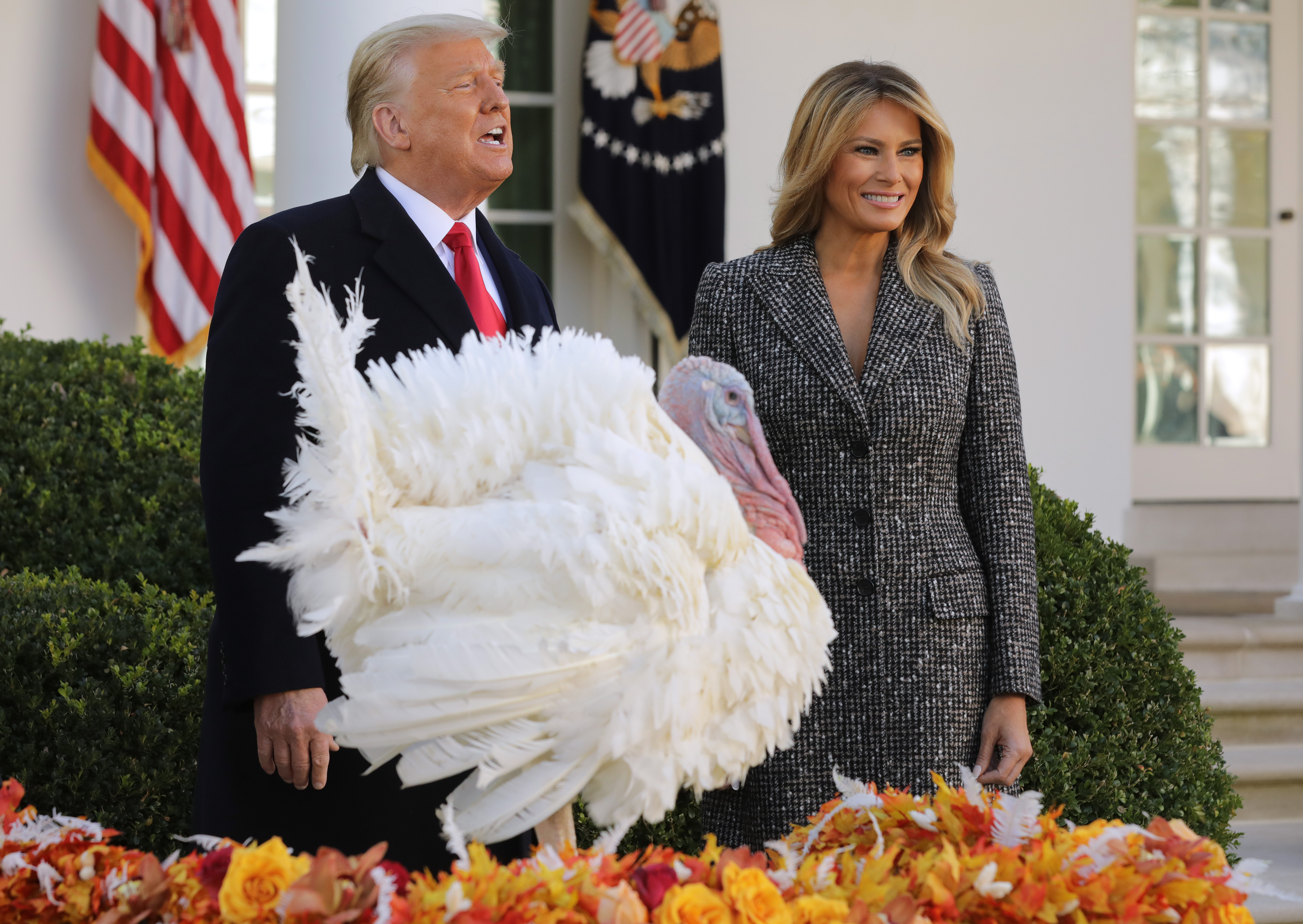 Donald Trump turkey pardon