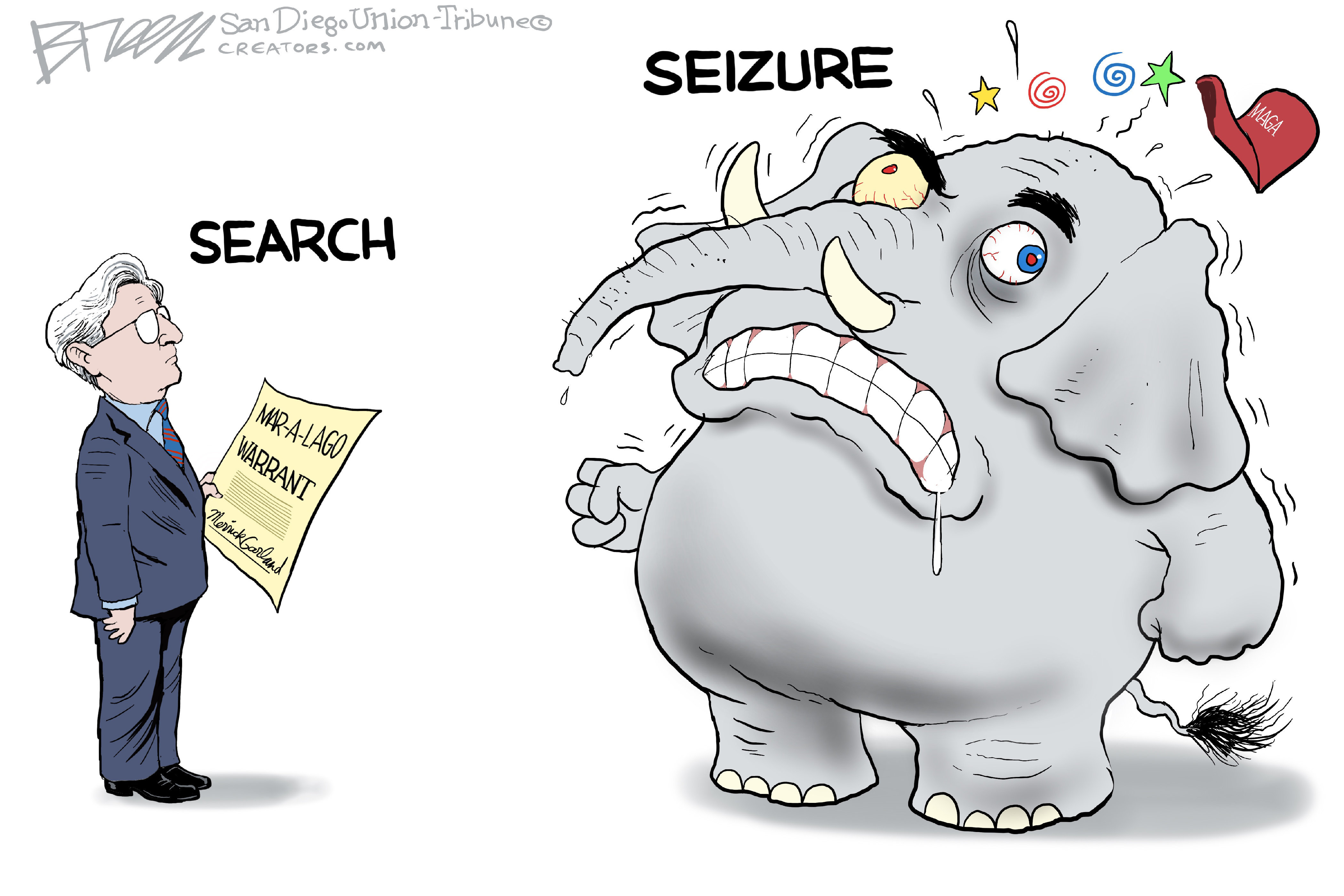 Search and seizure - Political Cartoon